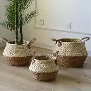 سلة من القش